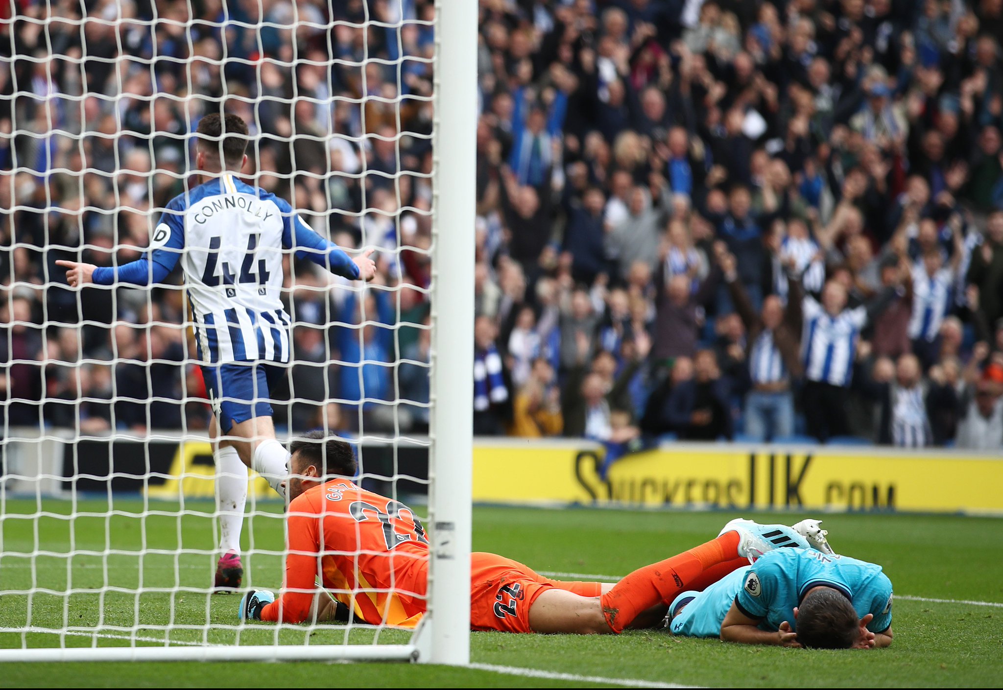 球迷的喜爱 球迷的喜爱